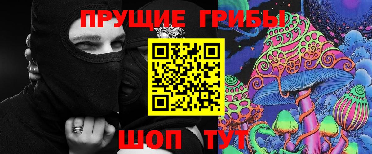 Галлюциногенные грибы Cubensis Таганрог