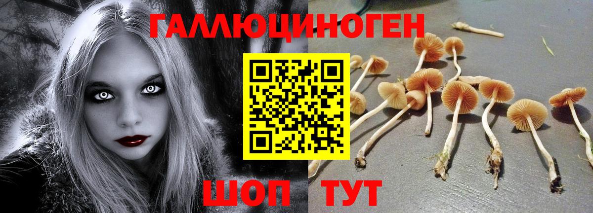 Меф   MDMA  Кокаин  Вход с VPN  Альфа ПВП СОЛЬ кристаллы  Таганрог  ГАШ  Cocaine  Канабис  Наркошоп 
