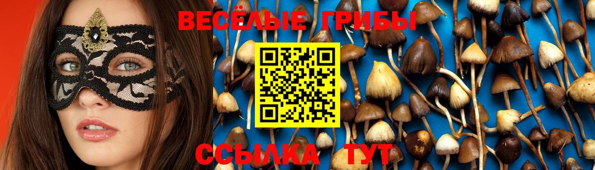 Псилоцибиновые грибы Magic Shrooms  Вход с VPN  Таганрог 